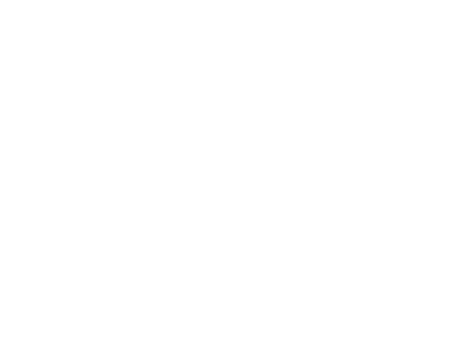 Ellevie Custom